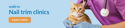 Feeders Pet Suppl